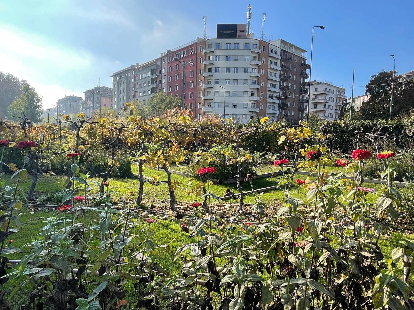 Orti Fioriti