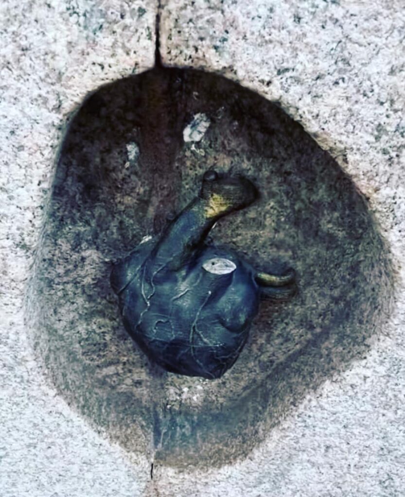 Cuore di Porta Venezia a Milano