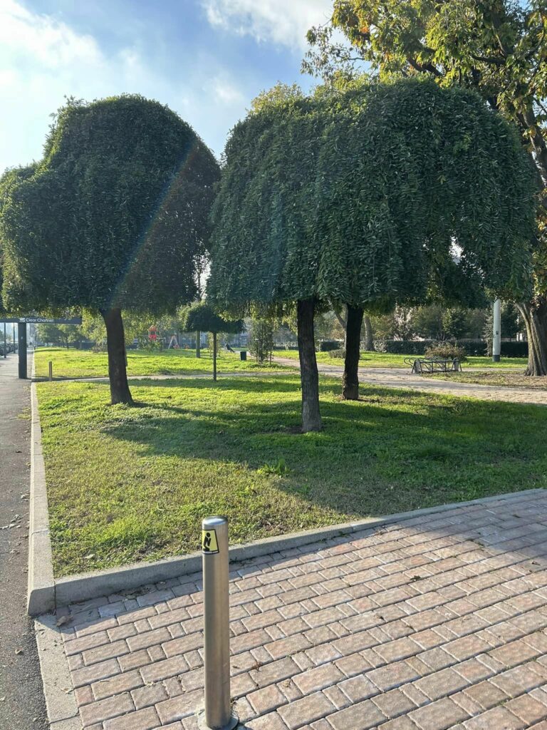 Parco Giambelino