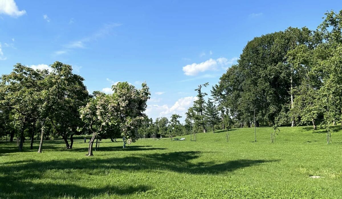 Parco Forlanini