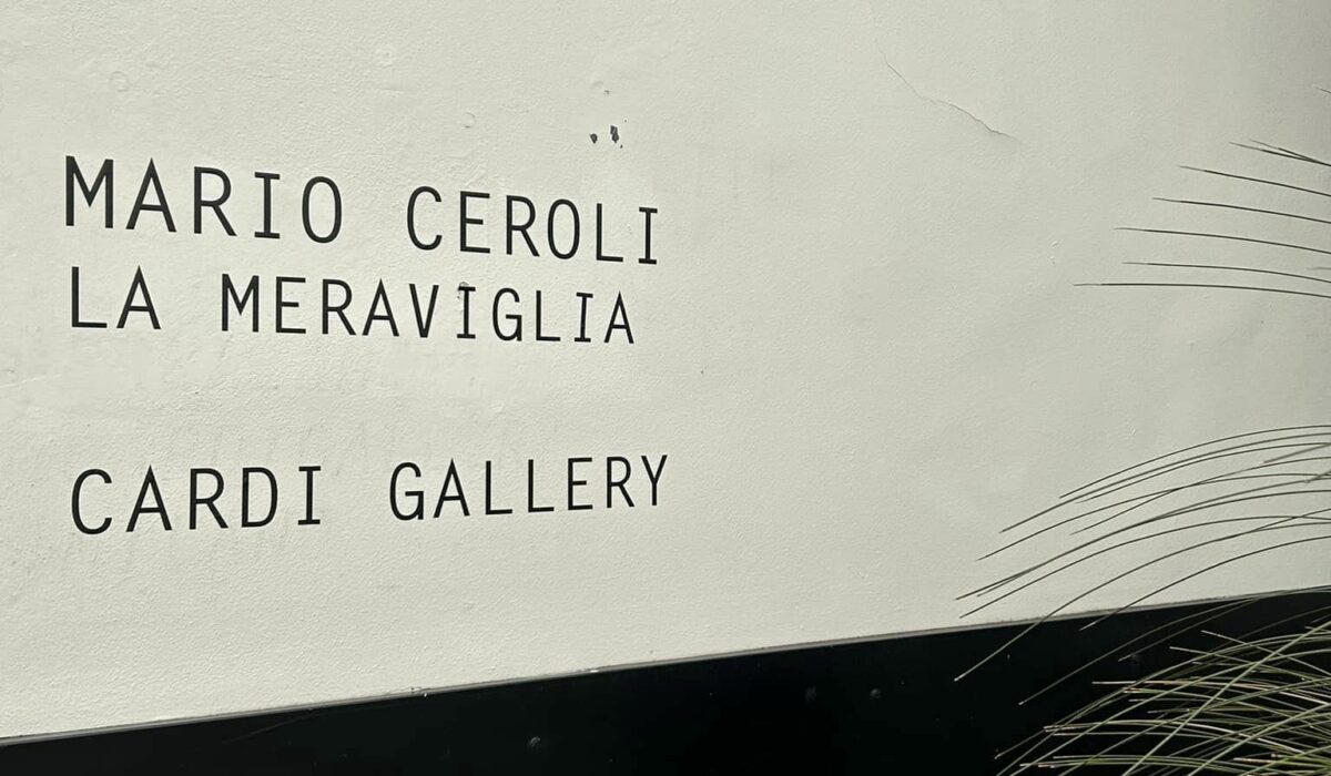 Galleria Cardi Milano