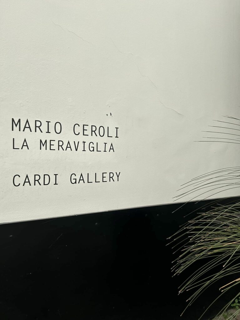 Galleria Cardi Milano